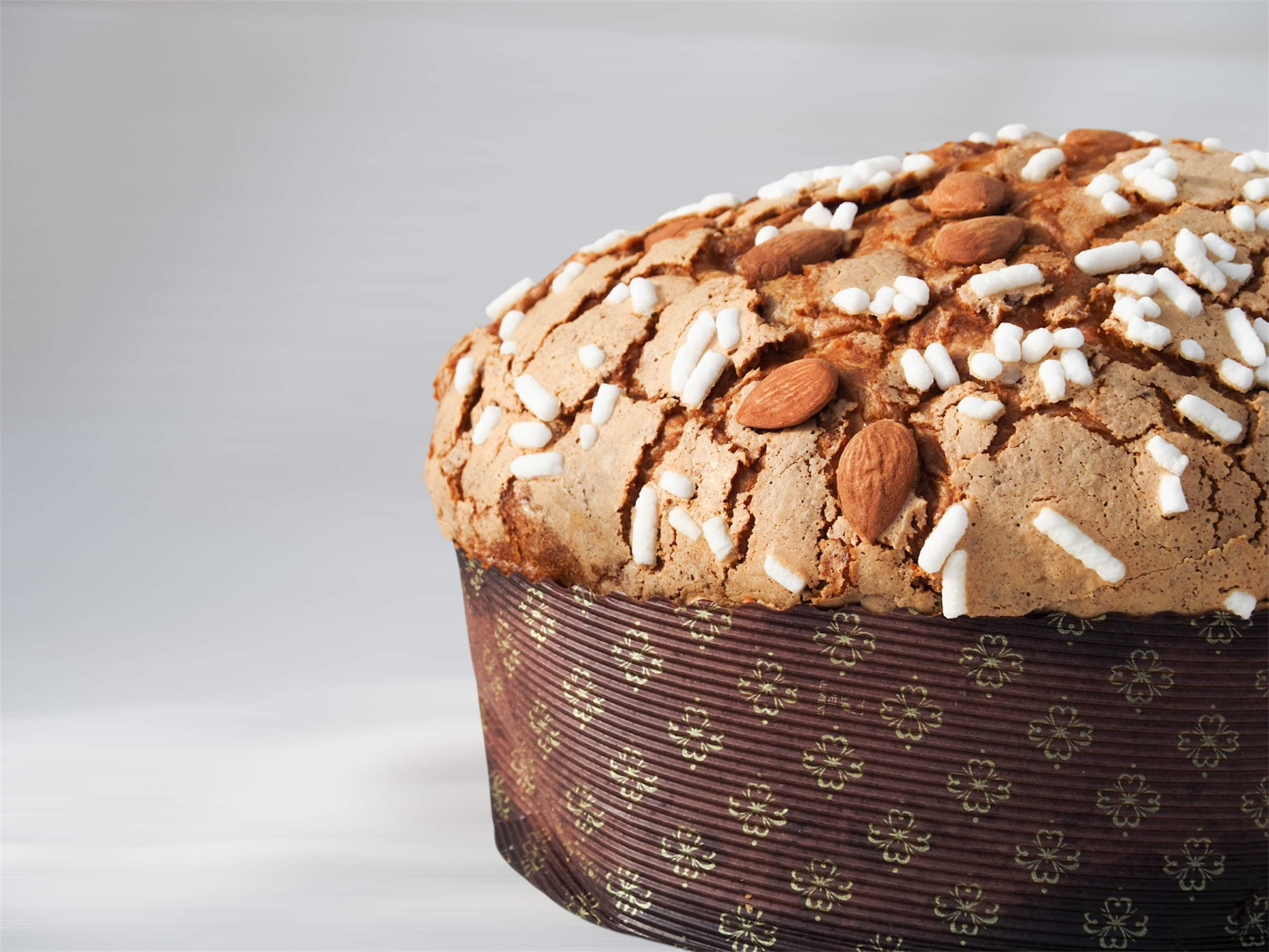 Panettone Classico by Roberto Cantolacqua per Enoteca Compagnucci